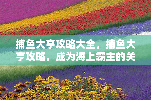 成为海上霸主的关键步骤图片