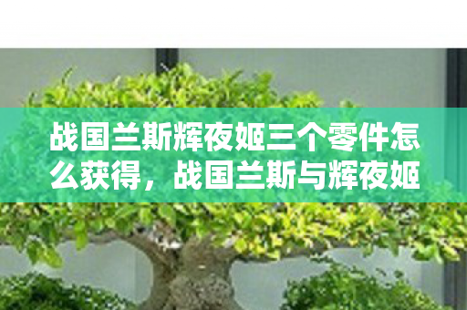解锁浪漫邂逅的三个关键零件获取指南图片