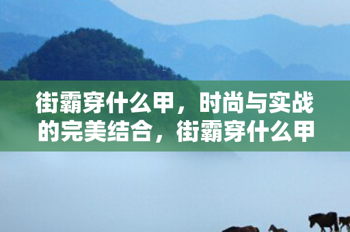 街霸穿什么甲，时尚与实战的完美结合，街霸穿什么甲，时尚与实战的完美结合