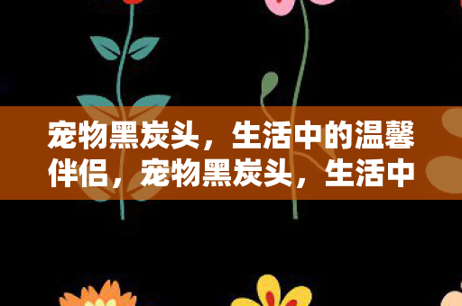 宠物黑炭头，生活中的温馨伴侣，宠物黑炭头，生活中的温馨伴侣