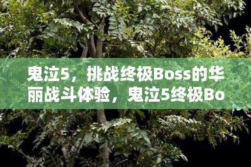 鬼泣5，挑战终极Boss的华丽战斗体验，鬼泣5终极Boss战，华丽战斗体验的挑战