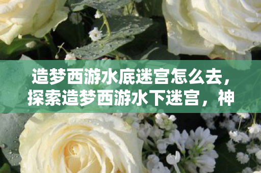 造梦西游水底迷宫怎么去，探索造梦西游水下迷宫，神秘与挑战并存的奇幻之旅，探索造梦西游水底迷宫，神秘与挑战并存的奇幻之旅