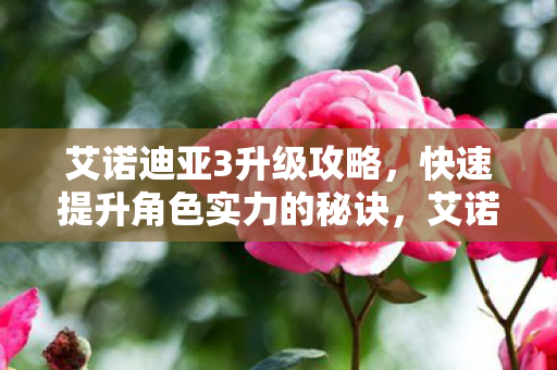 艾诺迪亚3升级攻略，快速提升角色实力的秘诀，艾诺迪亚3角色快速升级攻略