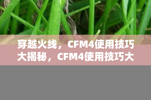 穿越火线，CFM4使用技巧大揭秘，CFM4使用技巧大揭秘