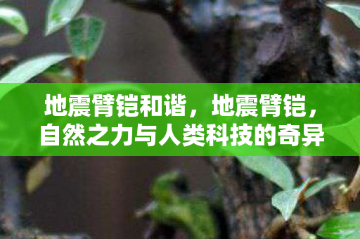 地震臂铠和谐，地震臂铠，自然之力与人类科技的奇异融合，自然之力与人类科技的融合，地震臂铠的和谐之道