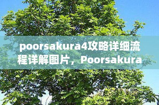 poorsakura4攻略详细流程详解图片，Poorsakura4全面攻略，解锁游戏新境界，Poorsakura4全面攻略，解锁游戏新境界的详细流程详解