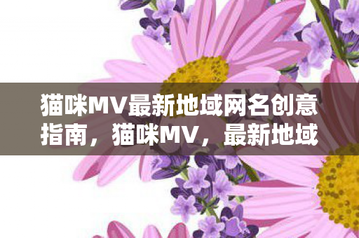 猫咪MV最新地域网名创意指南，猫咪MV，最新地域网名创意指南