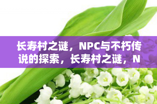 长寿村之谜，NPC与不朽传说的探索，长寿村之谜，NPC与不朽传说的探索