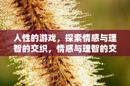 人性的游戏，探索情感与理智的交织，情感与理智的交织，人性的游戏