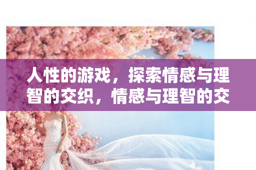 人性的游戏，探索情感与理智的交织，情感与理智的交织，人性的游戏